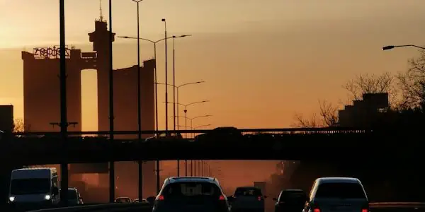 Professional People Search Serbia